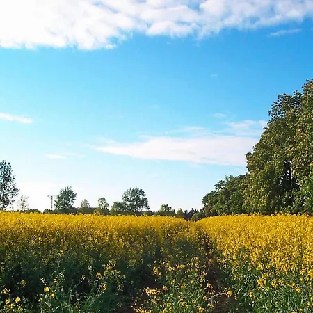 度假居 Near Baltic Sea *
