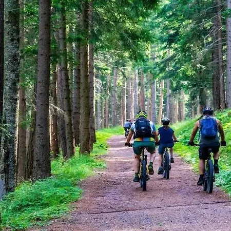 Near Baltic Sea * Noskowo